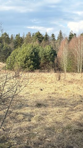 Działka rolno-budowlana Dyminy, ul. Przyłogi. Zdjęcie 1