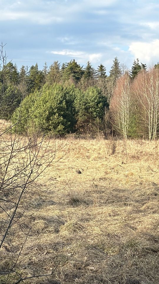 Działka rolno-budowlana Dyminy, ul. Przyłogi. Zdjęcie 1