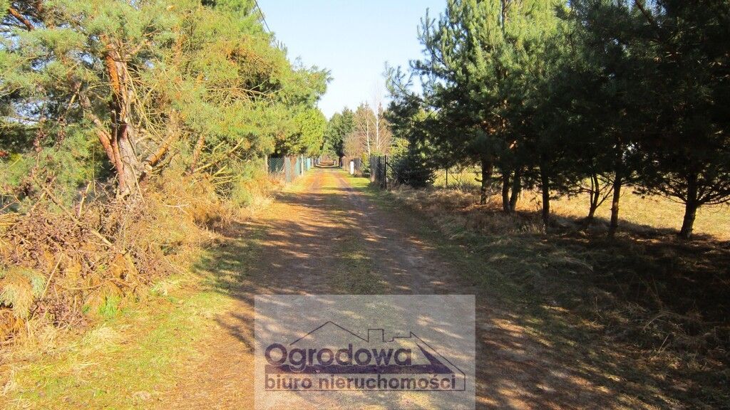 Działka Sekłak. Zdjęcie 7