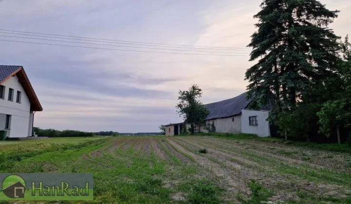 Działka budowlana Sarbia