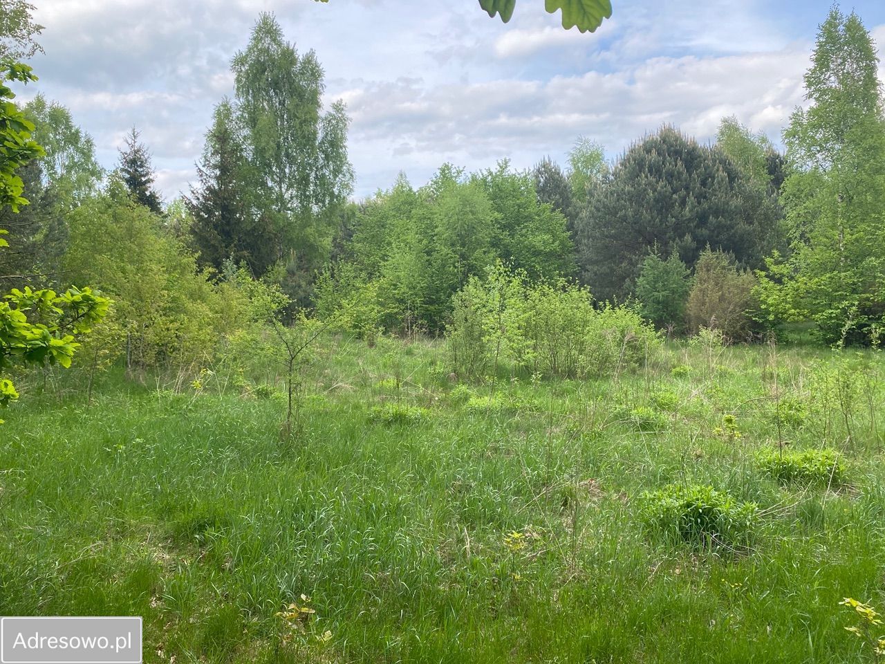 Działka budowlana Borowiec, ul. Księżnej Diany. Zdjęcie 5