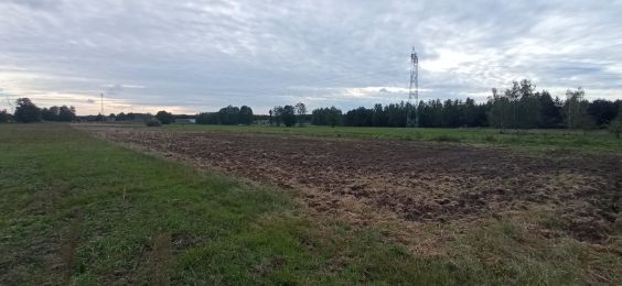 Działka rolno-budowlana Piaski Nowa Wieś. Zdjęcie 8