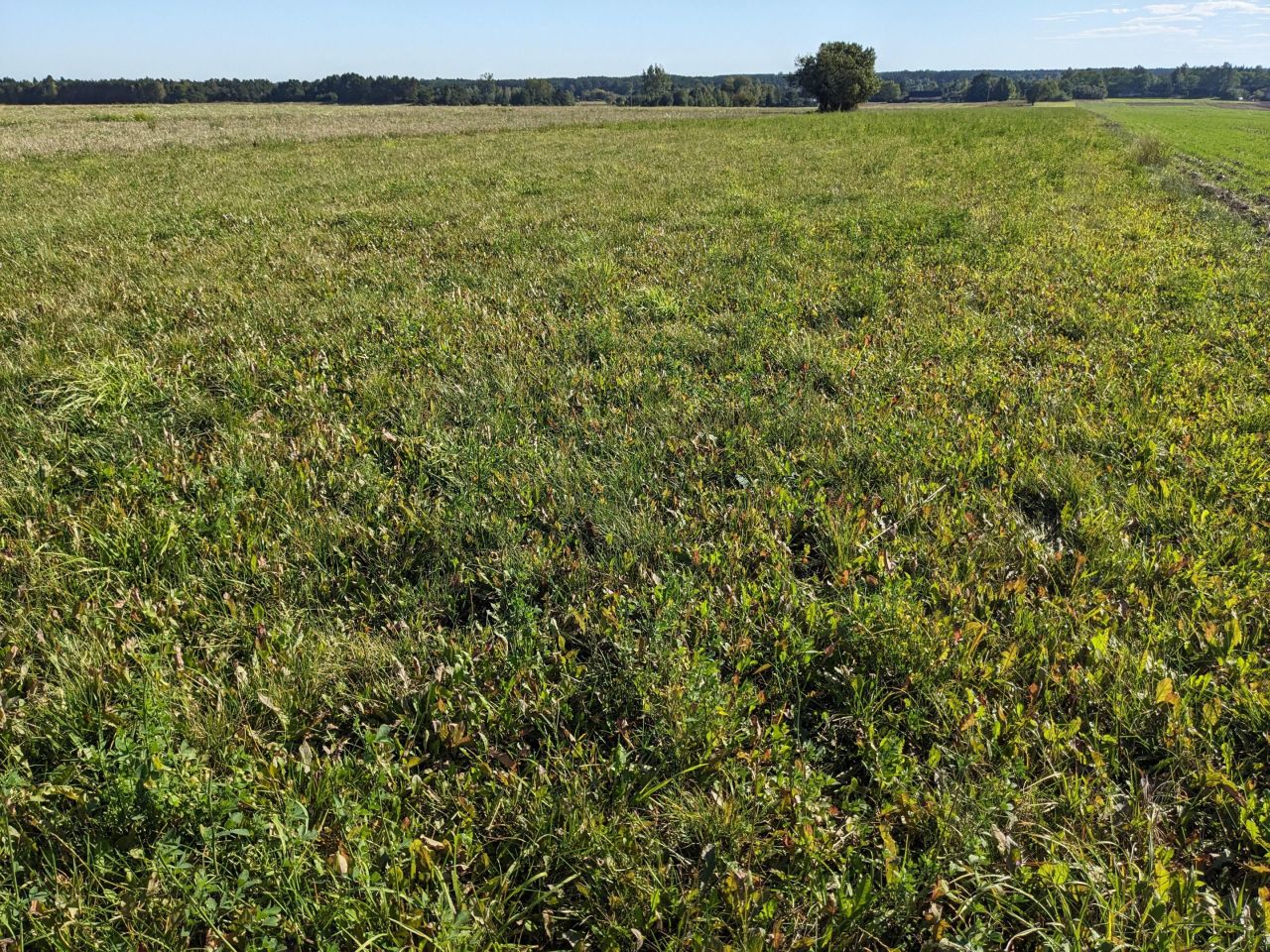 Działka rolna Eliaszówka. Zdjęcie 7