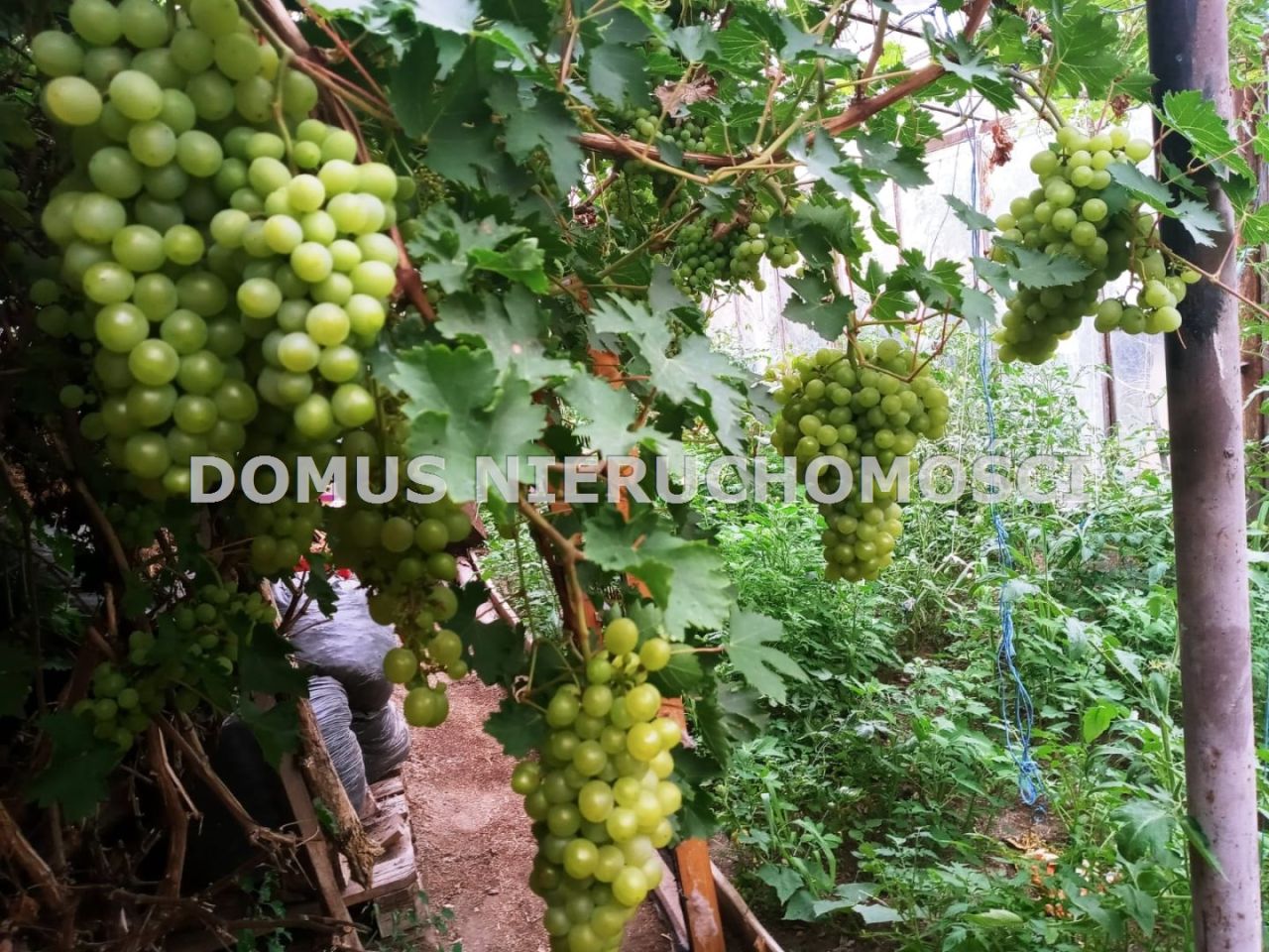 dom wolnostojący, 6 pokoi Rogów. Zdjęcie 12