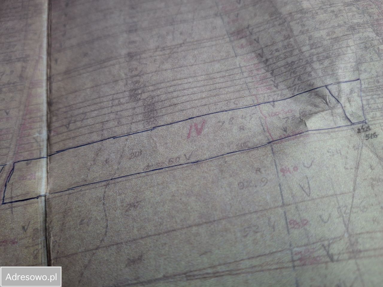 Działka rolno-budowlana Gościewicz. Zdjęcie 4