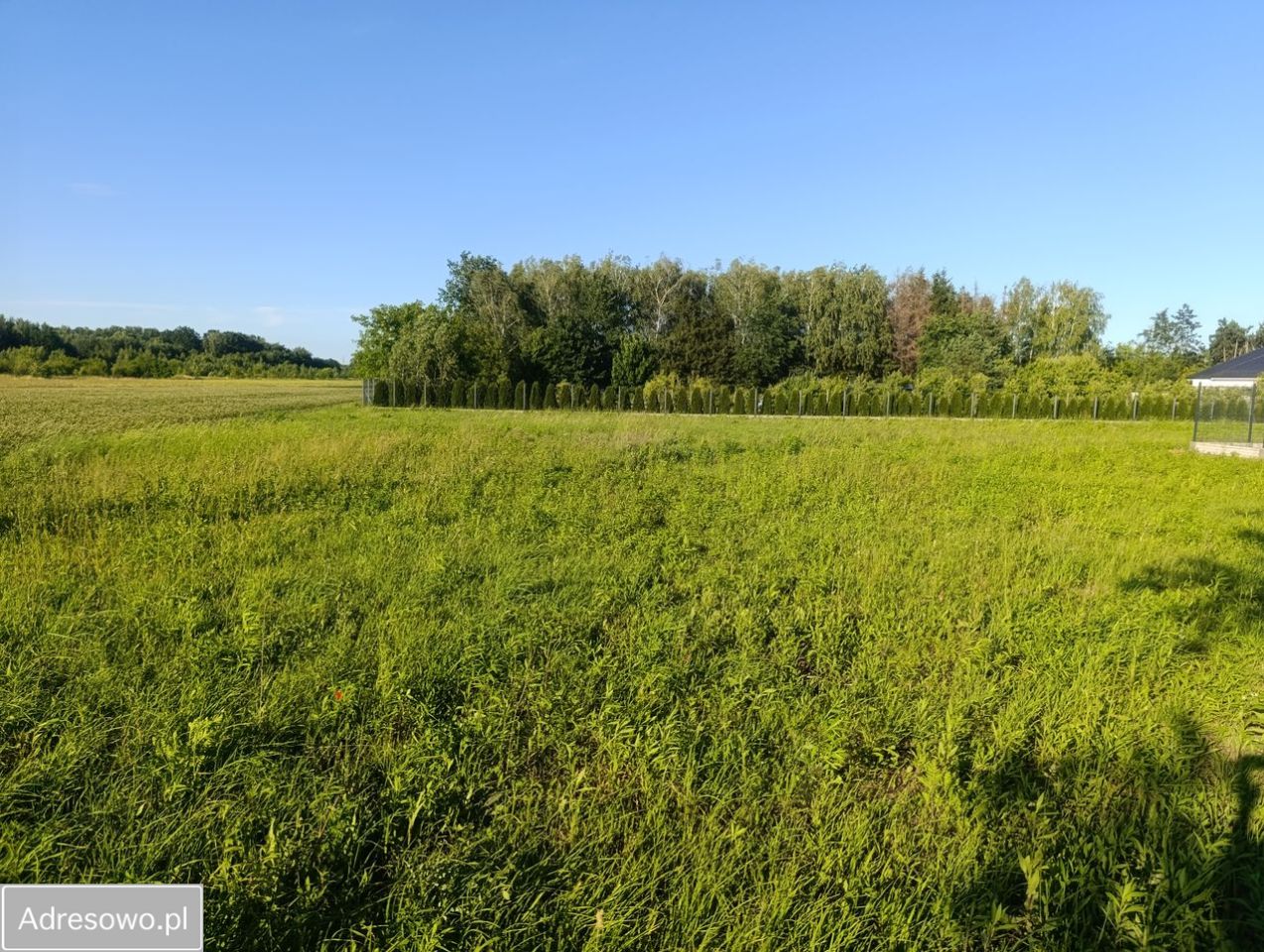 Działka budowlana Jastrzębie