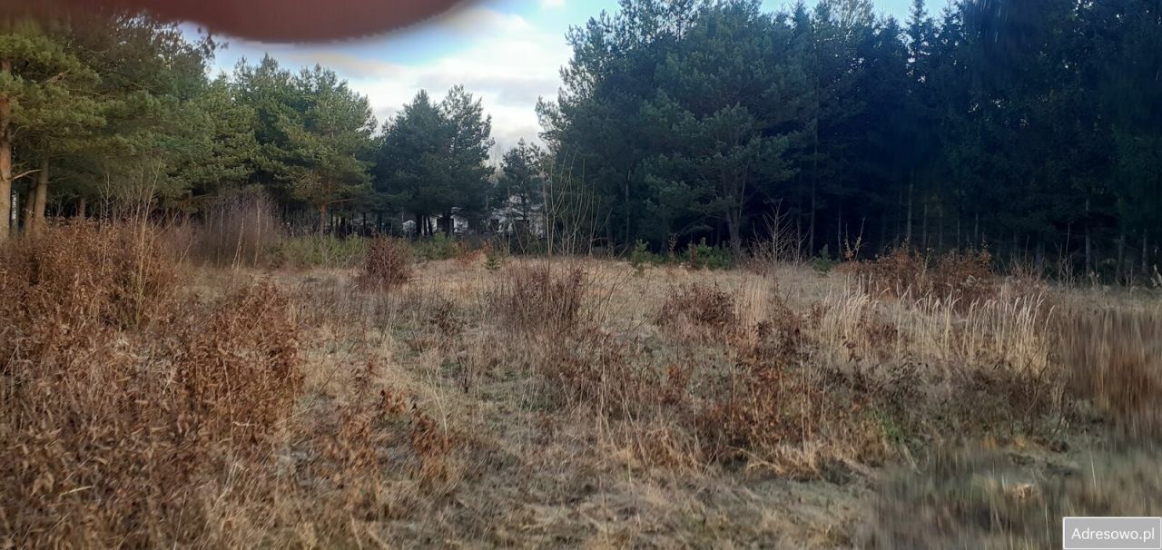 Działka budowlana Łukta. Zdjęcie 5