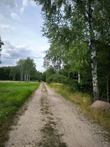 Działka budowlana Lipowo. Zdjęcie 3