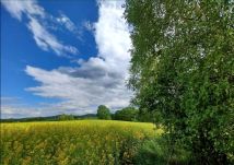 Działka budowlana Pławna Dolna. Zdjęcie 3