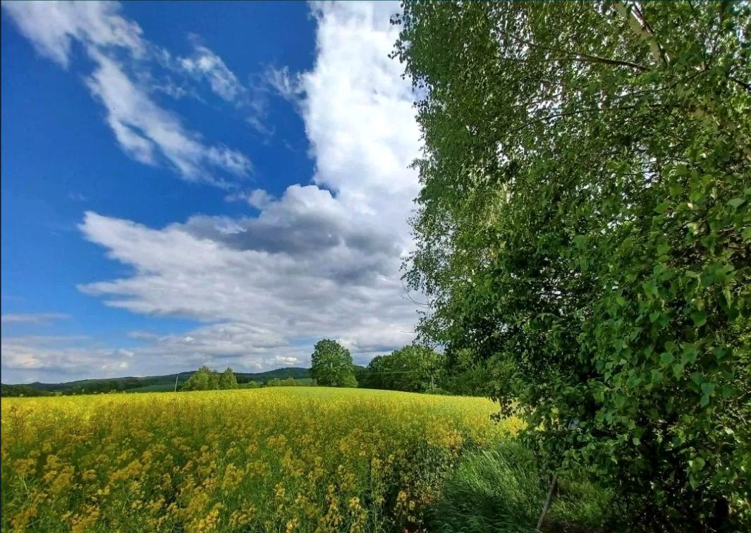 Działka budowlana Pławna Dolna. Zdjęcie 4