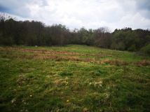 Działka rolna Mieszałki. Zdjęcie 1