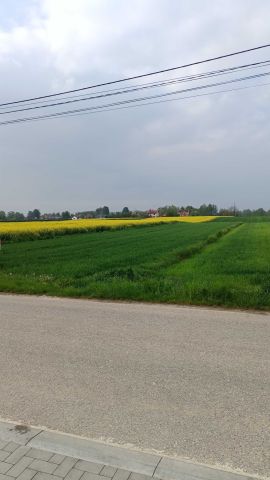 Działka rolno-budowlana Łęka Siedlecka. Zdjęcie 1