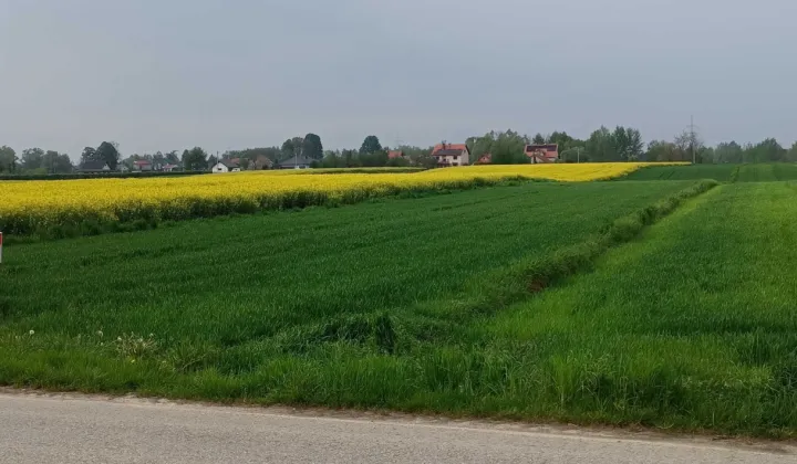 Działka rolno-budowlana Łęka Siedlecka