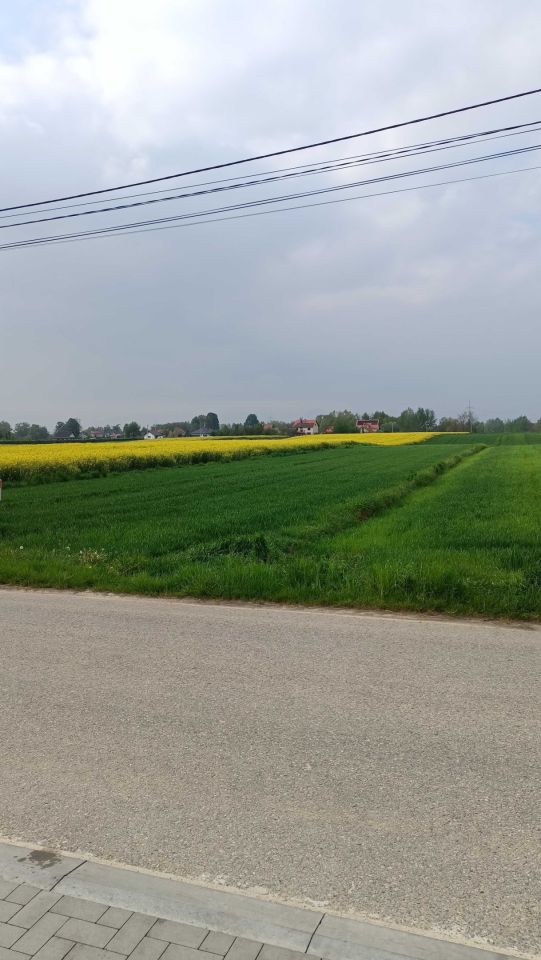 Działka rolno-budowlana Łęka Siedlecka. Zdjęcie 1