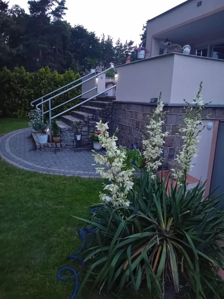 inny, 6 pokoi Dolna Grupa, ul. Bukowa. Zdjęcie 4