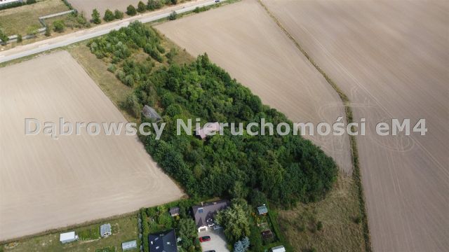 Działka budowlana Widowo. Zdjęcie 3