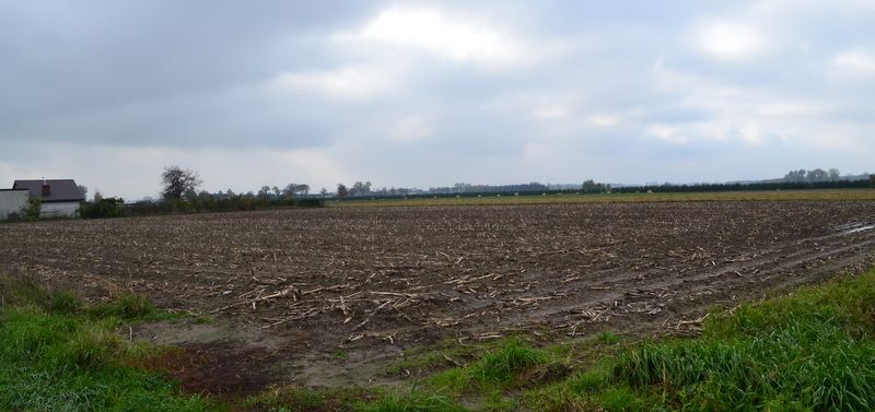 Działka rolno-budowlana Drogusza Drogusza Leśna. Zdjęcie 4