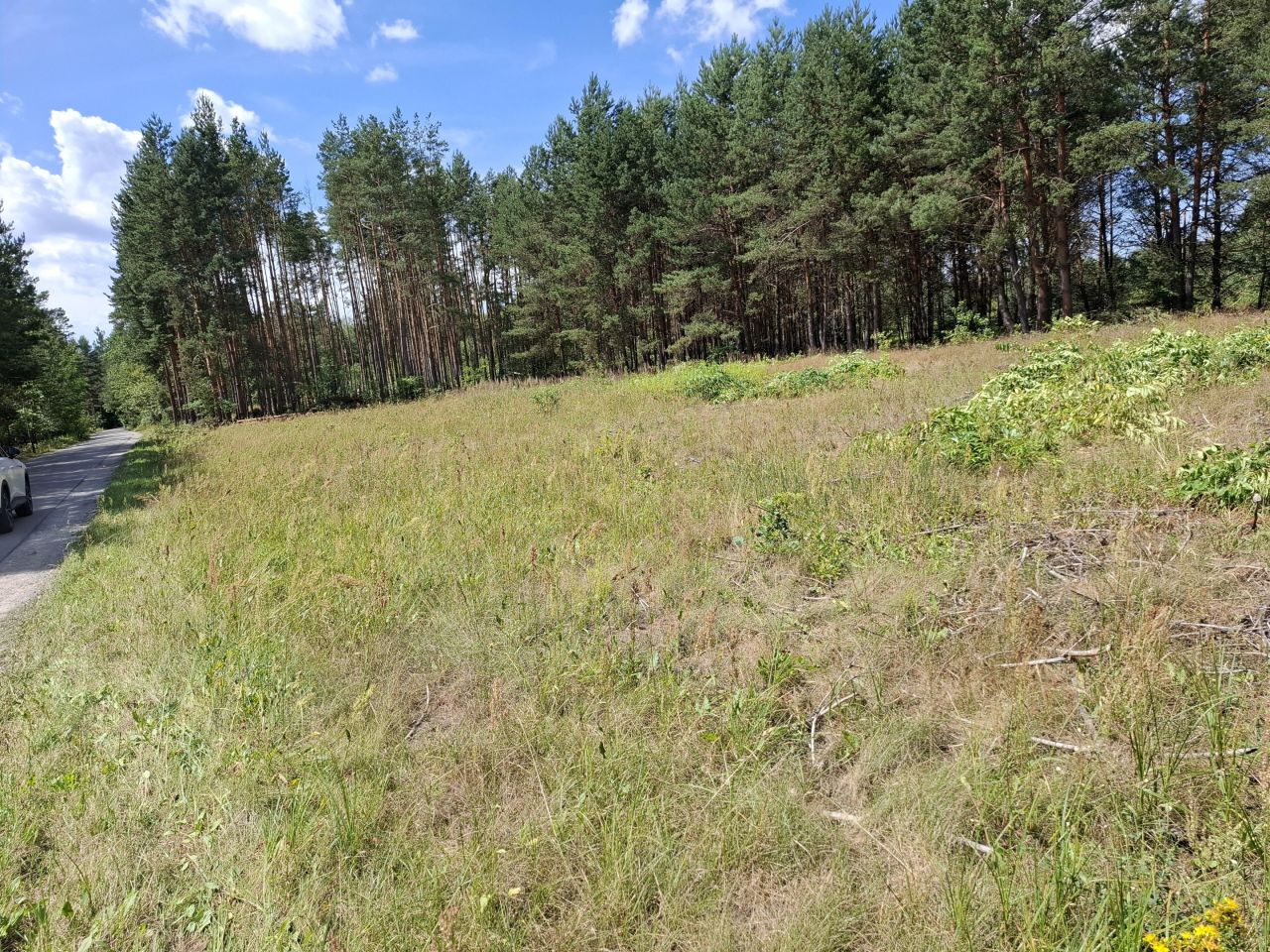 Działka budowlana Stany Kopanina, ul. Kopanina. Zdjęcie 3