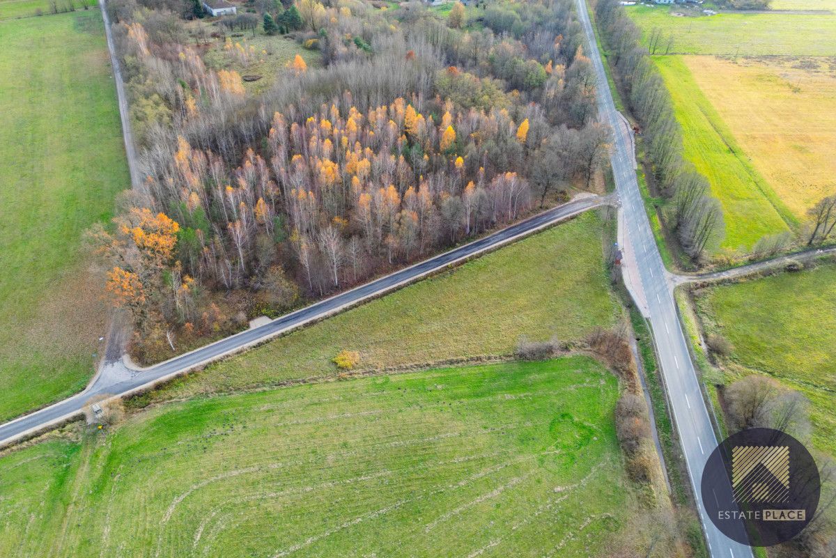 Działka inwestycyjna Strachówka. Zdjęcie 6