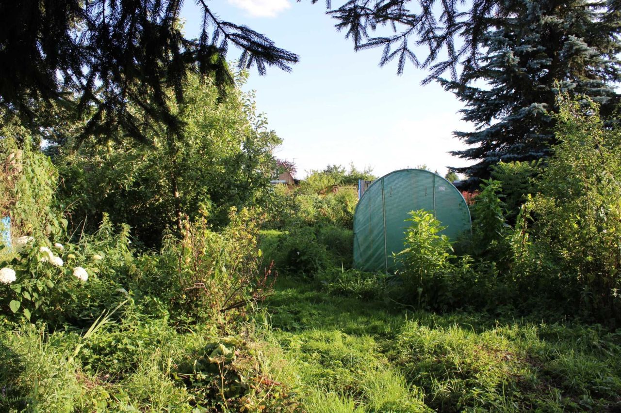 Działka rod Piła, ul. Koszycka. Zdjęcie 6