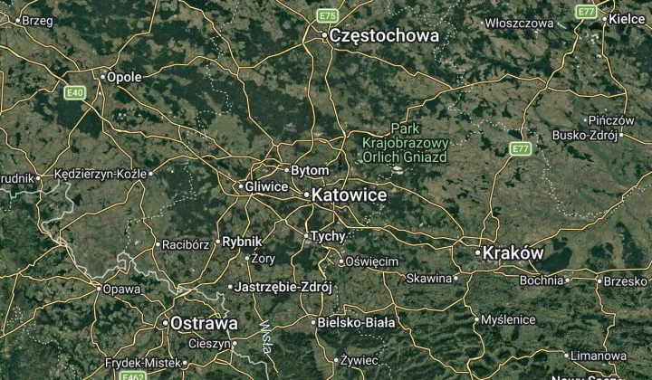 Działka rekreacyjna Sosnowiec Niwka, Cyni