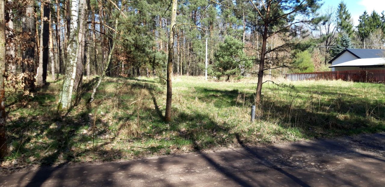 Działka budowlana Niedrzew Drugi. Zdjęcie 6