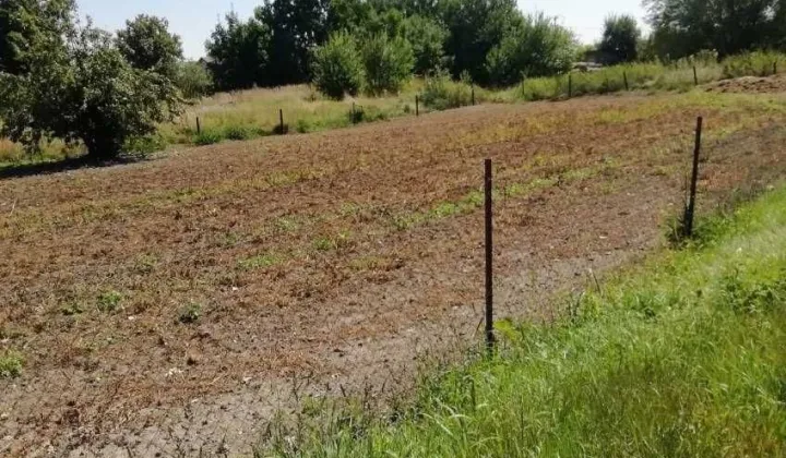 Działka rolna Babięty Wielkie