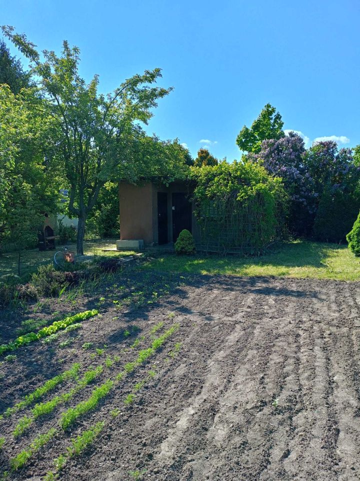 Działka rod Lubin. Zdjęcie 2