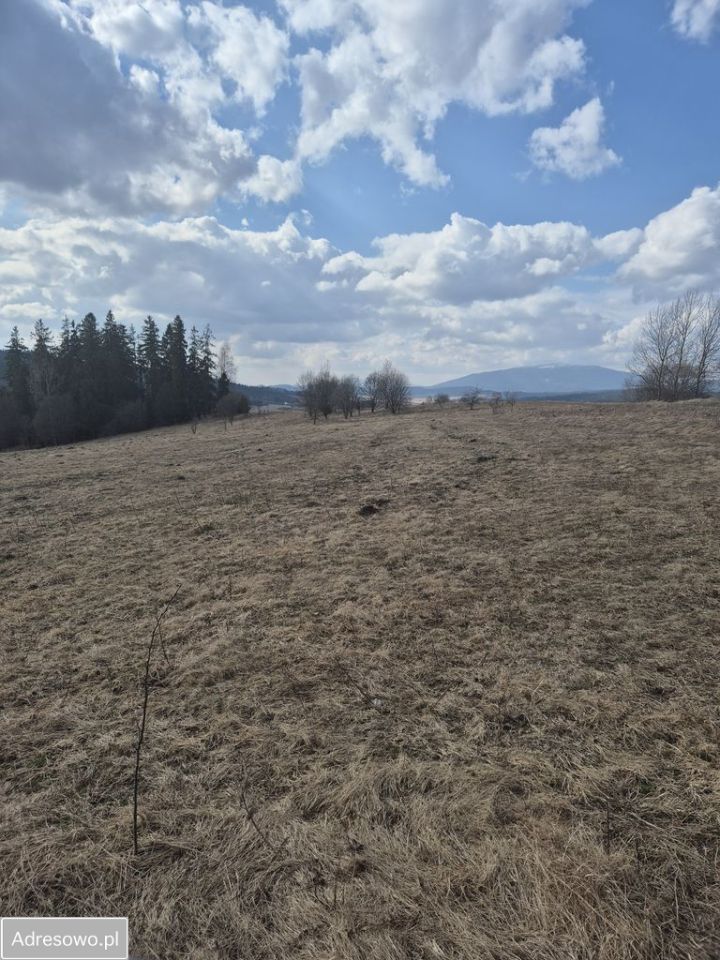 Działka rolna Podsarnie. Zdjęcie 10