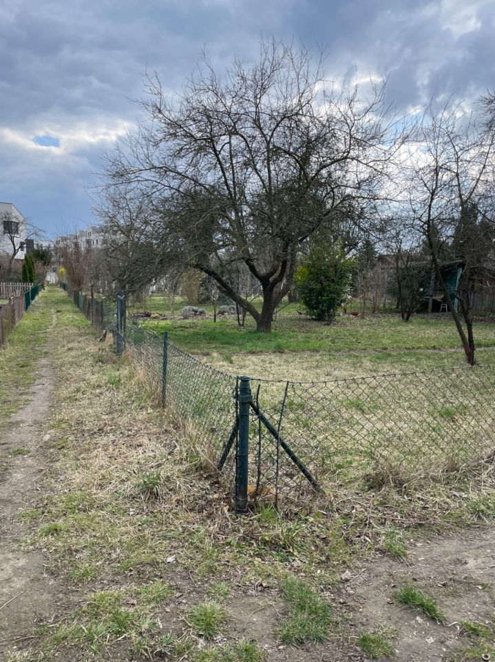 Działka rod Wrocław Krzyki. Zdjęcie 8