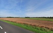 Działka rolna Kolsko. Zdjęcie 4