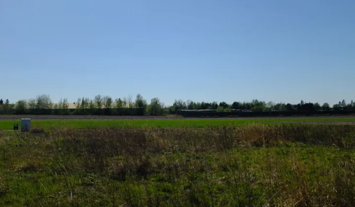 Działka budowlana Suszno, ul. Dębowa