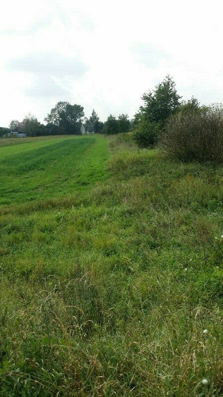 Działka budowlana Wołowice. Zdjęcie 2