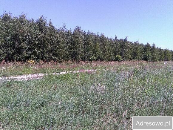 Działka budowlana Brańszczyk. Zdjęcie 13