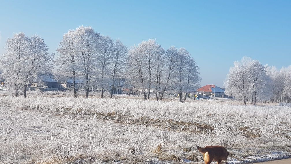 Działka budowlana Bełchatów, ul. Jesienna. Zdjęcie 5