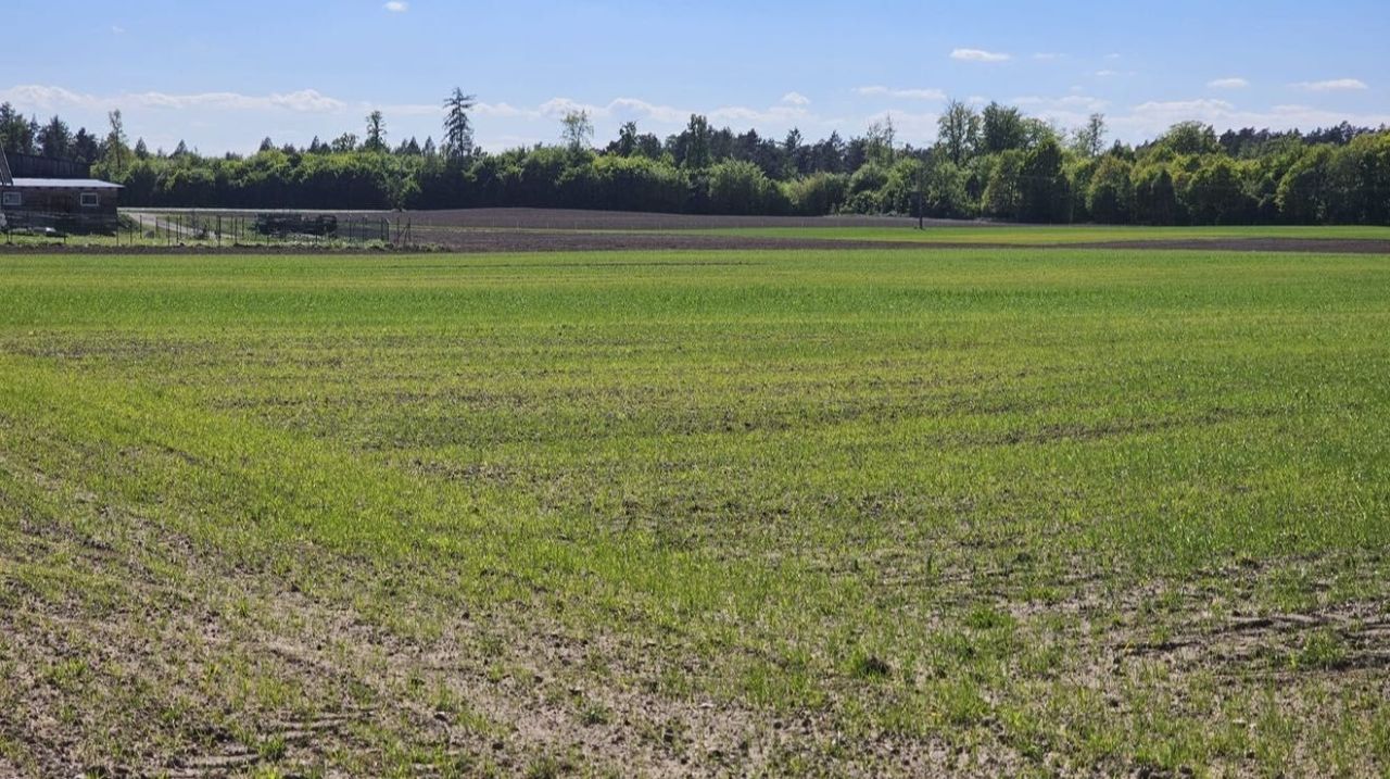 Działka budowlana Widlino. Zdjęcie 3