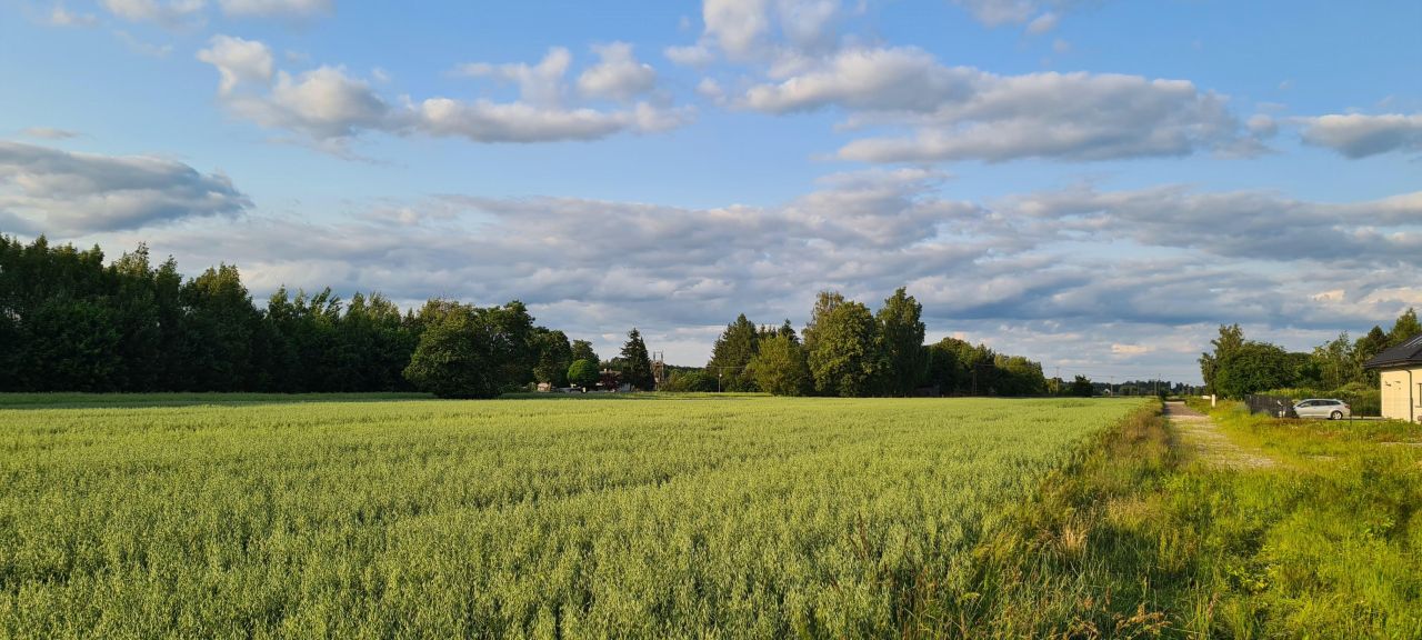 Działka budowlana Leśne Odpadki, ul. Gruszowa. Zdjęcie 6