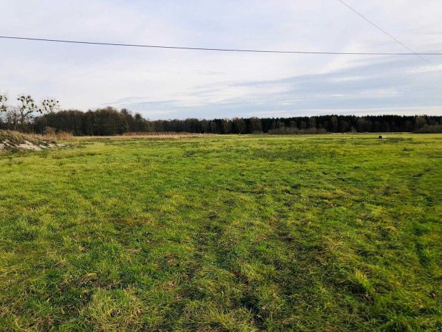 Działka inwestycyjna Bolemin. Zdjęcie 1