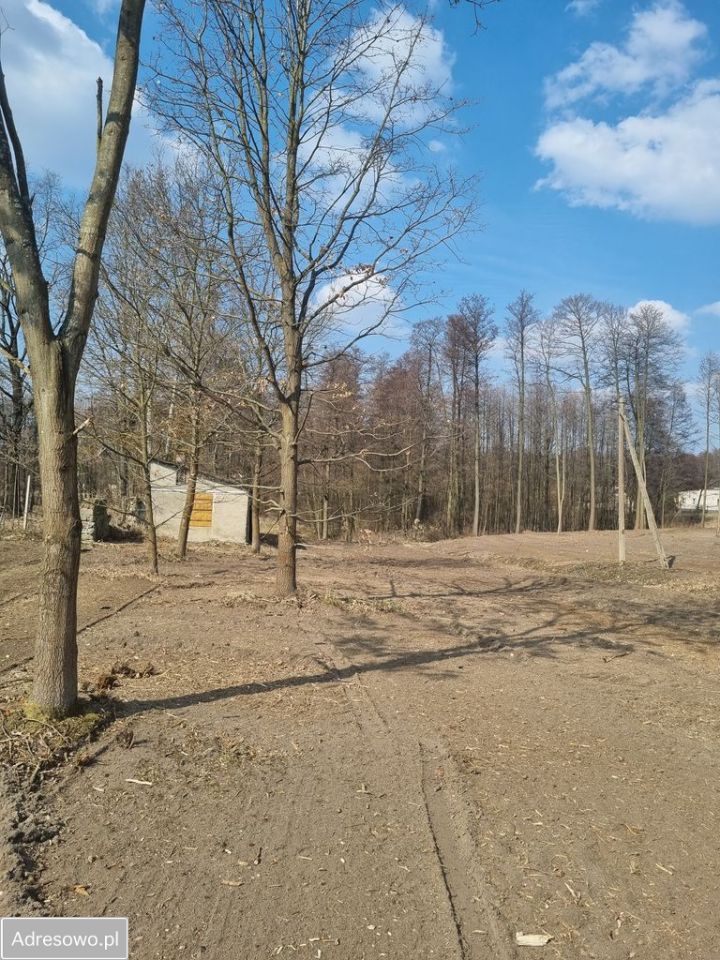 Działka budowlana Tomaszówka. Zdjęcie 8