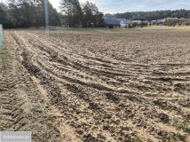 Działka rolna Osowicze. Zdjęcie 2