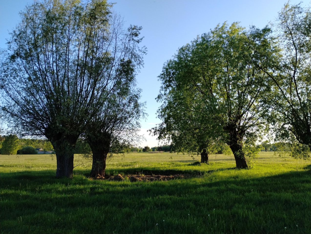 Działka budowlana Czubajowizna. Zdjęcie 5