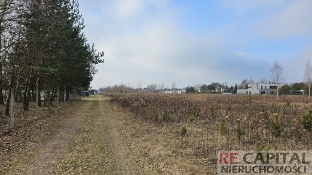 Działka siedliskowa Lipków. Zdjęcie 2