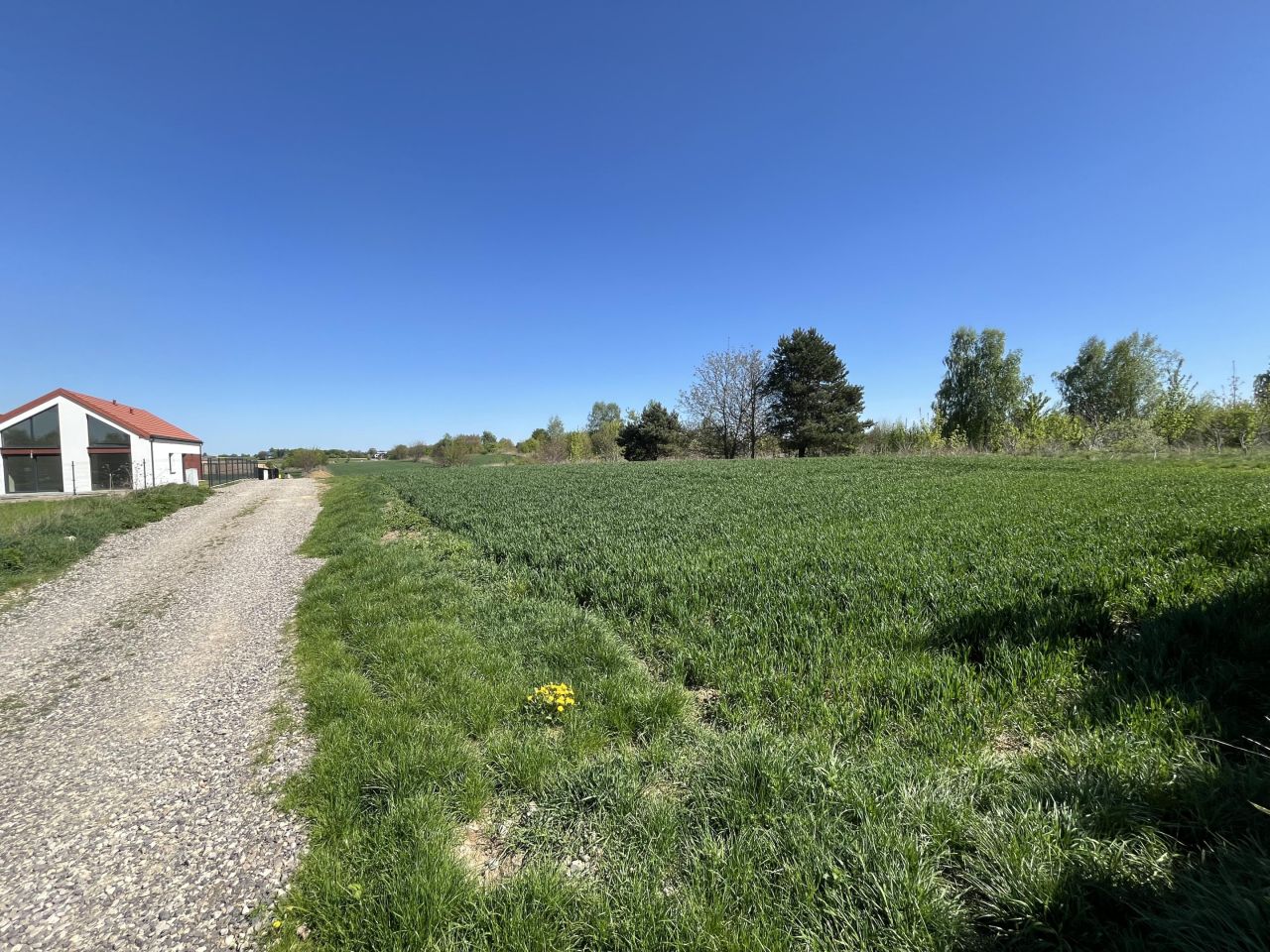 Działka budowlana Marysin, ul. Chmielna