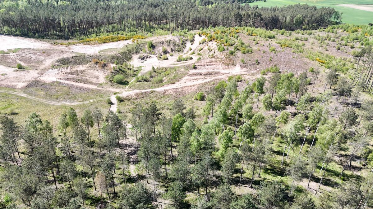 Działka budowlana Chwarzno Kozia. Zdjęcie 7