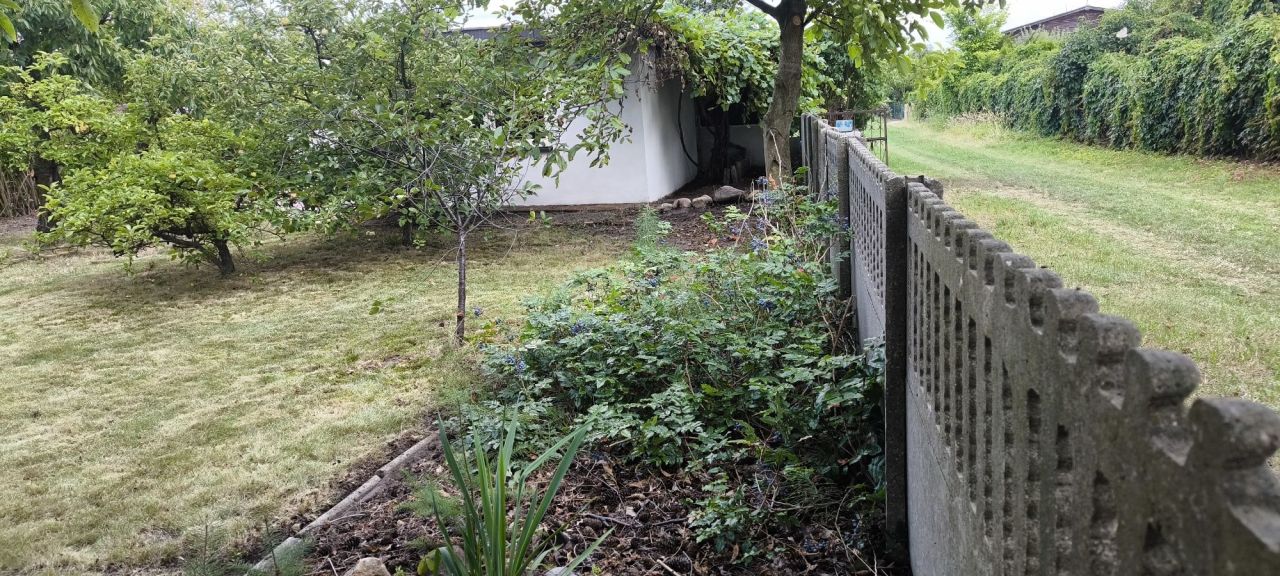 Działka rod Pleszew, ul. Prokopowska. Zdjęcie 6