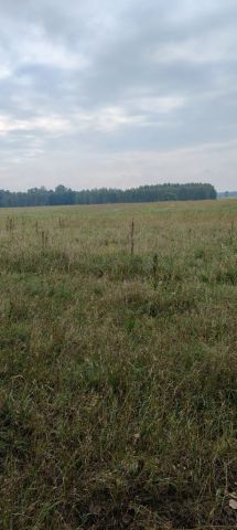 Działka Czarna Średnia. Zdjęcie 1