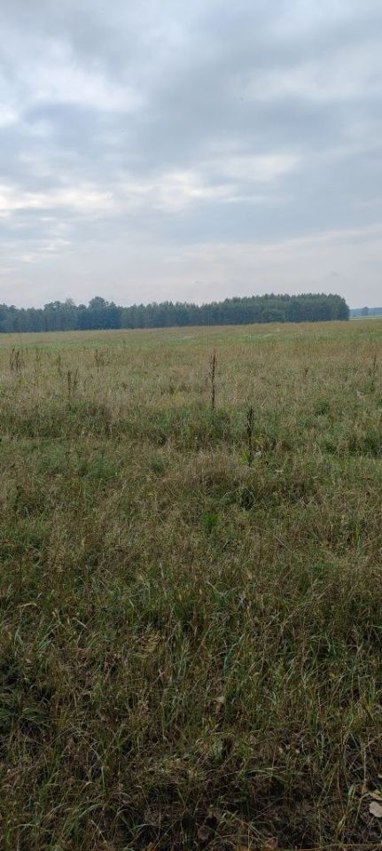 Działka Czarna Średnia