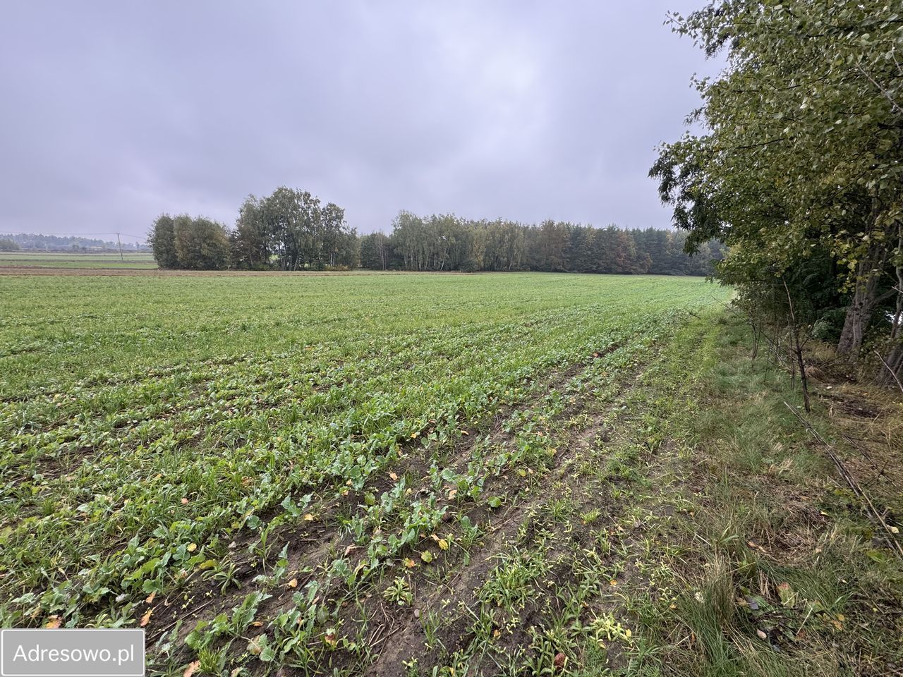 Działka budowlana Wola Kazubowa. Zdjęcie 4