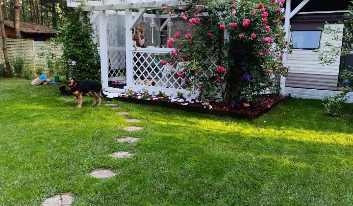 Działka rekreacyjna Kępiaste