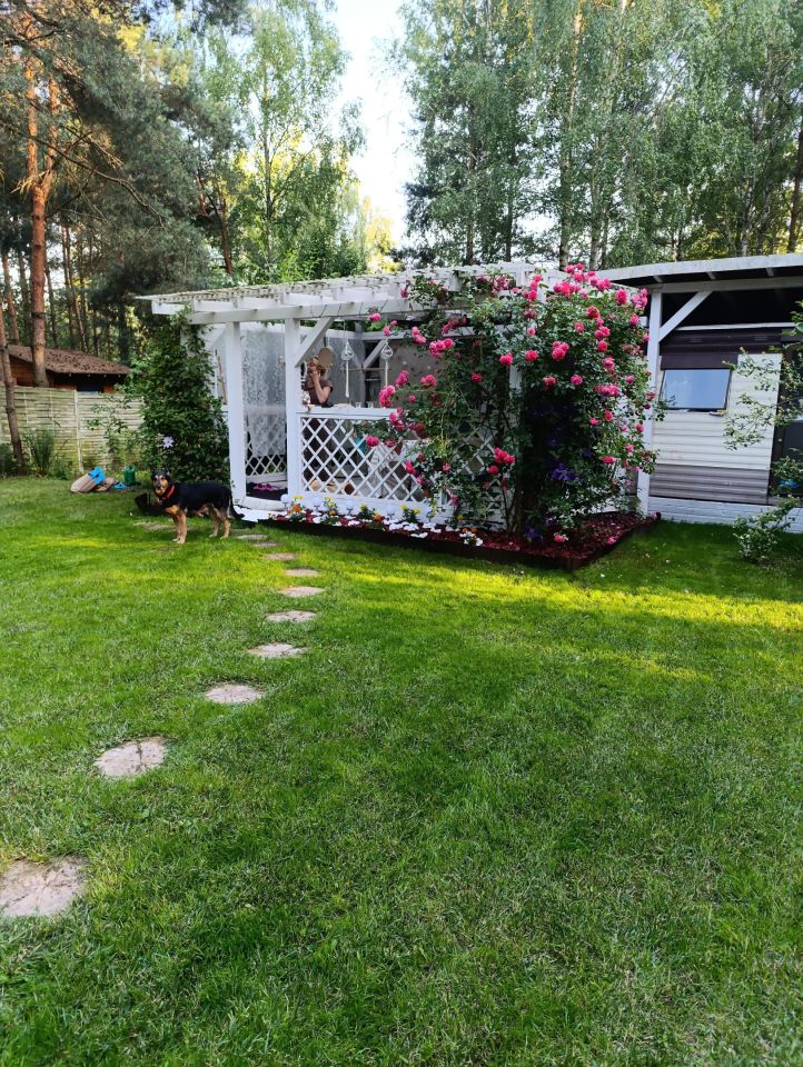 Działka rekreacyjna Kępiaste, Kępiaste. Zdjęcie 6